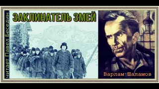 Колымские рассказы Варлама Шаламова —читает Павел Беседин