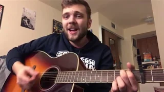 "I Did Something Bad" Taylor Swift Acoustic Cover