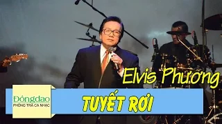 Tuyết Rơi (Tombe la neige) - Elvis Phương [Nhạc Pháp Lời Việt]