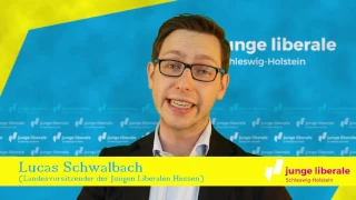 Lucas Schwalbach: Die 3 Kernthemen der FDP | #VoteFDP #SHentfesseln