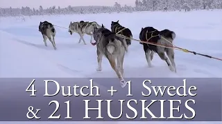 21 Huskies & 4 Dutch + 1 Swede on a Day Tour | Siberian Husky dog sledding