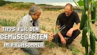 Was gibt es jetzt im Gemüsegarten zu tun - Juni, Juli + Gartenrundgang  + viele Gartentipps