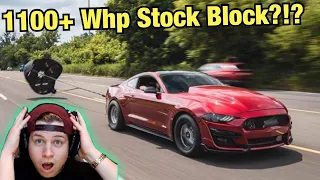 How Can A STOCK MUSTANG Make SO MUCH POWER!?! (Tuner Cars For Sale)