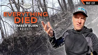 Timber Burn Update - Before and After - What Died | Dream Farm w/ Bill Winke