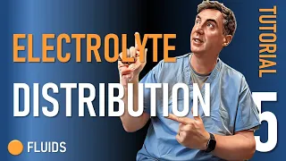 Tutorial 5: Electrolyte Distribution (Extracellular vs Intracellular Space) & Maintenance Fluid