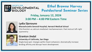 SDB Ethel Browne Harvey Postdoctoral Seminar Series - Lydia Djenoune and Granton Jindal