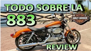 Harley Davidson  883 SUPERLOW | Review en Español 😎 Blitz Rider