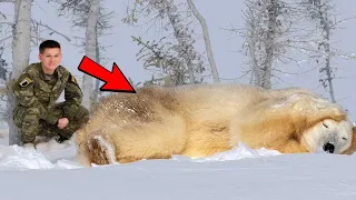 This Man Helps a Crying Polar Bear And Then Something Incredible Happens 😱