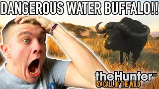 HUNTING THE DANGEROUS WATER BUFFALO! Hunter Call of the Wild Pt.58 - Kendall Gray