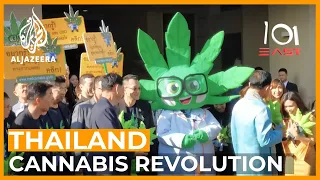 Thailand's Cannabis Revolution | 101 East Documentary