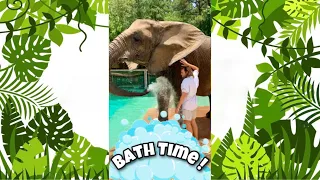 Bath Time for Bubbles the Elephant!