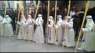 La Borriquilla de Peñaranda procesiona por primera vez a hombros