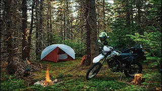 Making a Wilderness Campsite - Motorcycle Camping and Visiting our Bushcraft Shelters