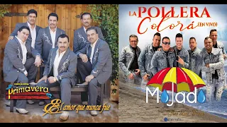 CONJUNTO PRIMAVERA Y GRUPO MOJADO