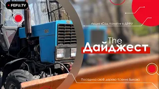 The Дайджест | Акция «Сад памяти» в ДВФУ