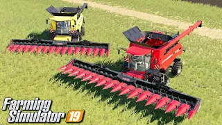 Koszenie kukurydzy na ziarno - Farming Simulator 19 | #68