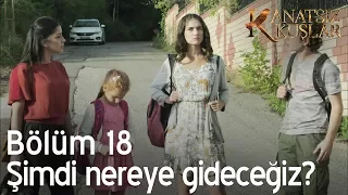 Şimdi nereye gideceğiz? - Kanatsız Kuşlar 18. Bölüm