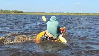 OMG kayaker runs into alligator! #shorts #😯😮😱