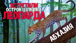 АБХАЗИЯ ШОКИРУЕТ ⚡ ВСТРЕТИЛИ ЛЕОПАРДА ⚡ Мюссера Райский остров Шлыпра