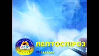 VetLesssons ЛЕПТОСПіРОЗ