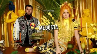 Shakira - Me Gusta feat. Anuel AA // LETRA