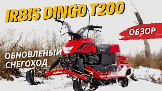 ОБЗОР обновленного снегохода IRBIS DINGO T200 текущего сезона от X-MOTORS! 🔥🔥🔥