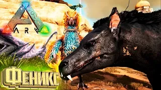 ЭНДРЮСАРХ И ФЕНИКС - ARK Scorched Earth СП #8