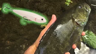 Creek Fishing Smallmouth Bass - Tips and Techniques Summer Topwater