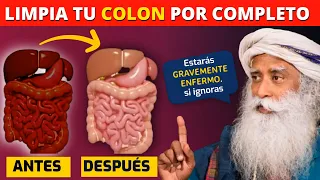 SADHGURU - Estas Yendo Hacia La ENFERMEDAD | CUATRO MANERAS De Limpiar Tu COLON | Parte 2