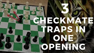 CHESS TRICK: 3 CHECKMATE TRAPS IN ONE OPENING !! SIBERIAN CHESS TRAP | DEADLY CHESS TRICK