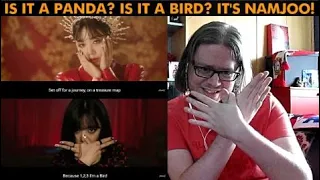 Kim Nam Joo (김남주) 'Bird' MV REACTION | Apink