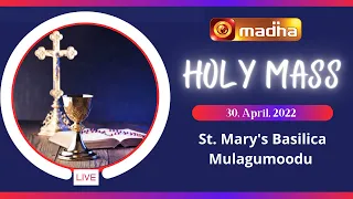 🔴 LIVE 30 April 2022 Holy Mass in Tamil 06:00 AM (Morning Mass) | Madha TV