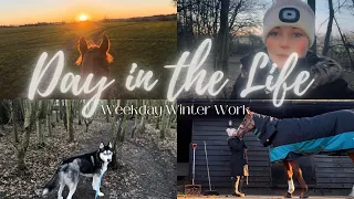 EQUESTRIAN DAY IN THE LIFE - WINTER WORK DAY | Sea Willow's Story