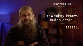 28.04.2024 Prawdziwy krzew, żaden erzac