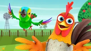 Bartolinho- Porquinha e Mais Animais da Fazenda! | O Reino Infantil