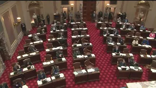 MN Senate passes public safety bill