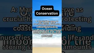 Ocean Conservation