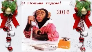 С Новым 2016 годом! Happy New Year 2016!