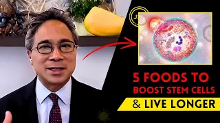 5 Superfoods To BOOST Stem Cells & Live LONGER | Dr. William Li