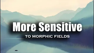Morphic Field to Help you Become More Sensitive to Morphic Fields