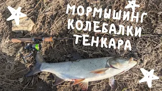 МОРМЫШИНГ x КОЛЕБАЛКИ x ТЕНКАРА Маленькое приключение на большой реке #55