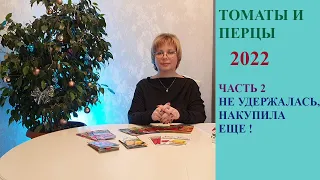 Томаты и перцы 2022 часть 2. Не удержалась, накупила еще!