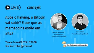 Após o halving, o Bitcoin vai subir? E por que as memecoins estão em alta?