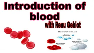 Human blood|| RBC || WBC || Platelets || blood in hindi.,
