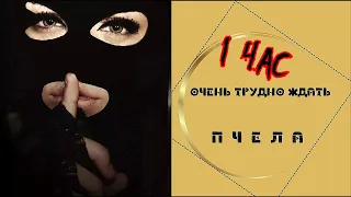 Пчела - Очень Трудно Ждать 1 Час / Music Пчела