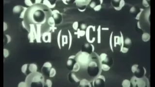 Теория электролитической диссоциации  Учебный фильм по химии