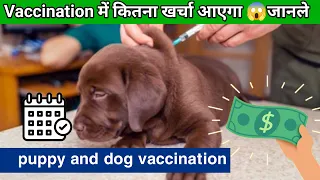 जानिये dog की vaccination मे खर्चा कितना होता है 🤑/ Rabies vaccine /puppy vaccination