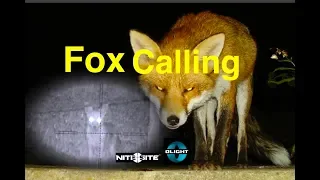 Fox Calling ICOtec GC500 & Tikka T3