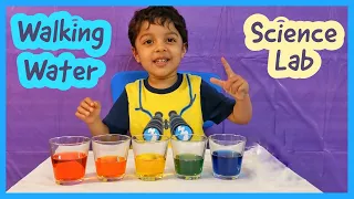 Diyan Learns Walking Water Science Experiment For Kids, STEM Capillary Action, Easy Science Activity