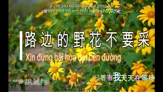 Karaoke vietsub - Lu bian de ye hua bu yao cai - 路邊的野花不要採 - Hoa dại bên đường xin đừng hái - HanaVN